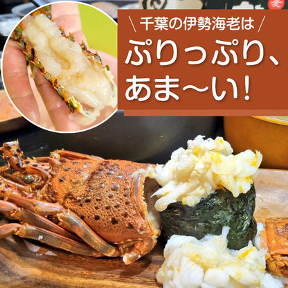 【送料無料】活伊勢海老 中 350～400g 1尾 千葉県産