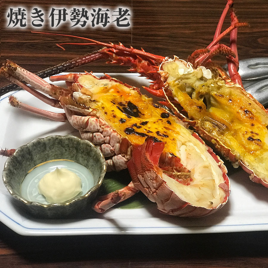 【送料無料】活伊勢海老 中 350～400g 1尾 千葉県産