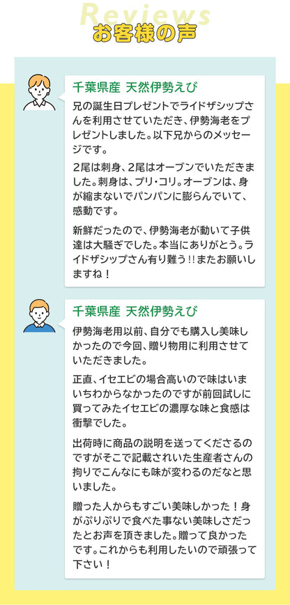 【送料無料】活伊勢海老 中 350～400g 1尾 千葉県産