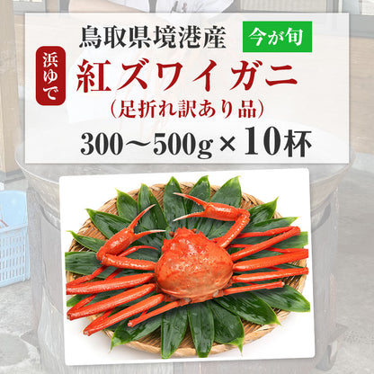 鳥取境港 浜茹で 紅ズワイガニ 300〜500gを10杯 ベニズワイガニ 甘い 蟹 かに 訳あり ※水揚げ次第出荷