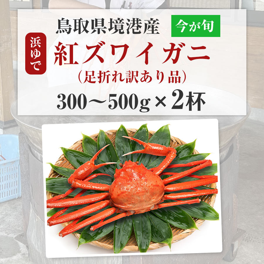 鳥取境港 浜茹で 紅ズワイガニ 300〜500gを2杯 ベニズワイガニ 甘い 蟹 かに 訳あり ※水揚げ次第出荷