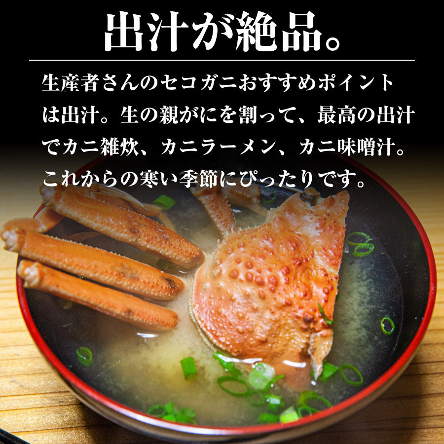 活 セコガニ （ズワイガニメス） 150g×6杯 鳥取県境港産 旬のカニ 期間限定 親ガニ セイコガニ 訳あり